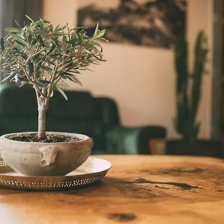 Διαμέρισμα Private & Garden Alpi Mit Sauna Und Whirlpool Γκάρμις-Παρτενκίρχεν