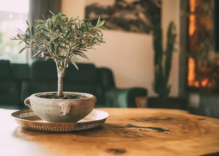 Lejlighed Private & Garden Alpi Mit Sauna Und Whirlpool Garmisch-Partenkirchen